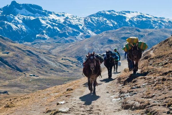 Quels sont les meilleurs spots pour une randonnée à travers les Andes péruviennes ?